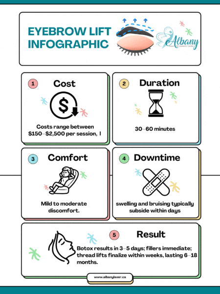 Eyebrow Lift Infographic from Albany Cosmetic and Laser Centre summarizing treatment details: Cost (0–,500 per session), Duration (30–60 minutes), Comfort level (mild to moderate discomfort), Downtime (swelling and bruising typically subside within days), and Results (Botox results in 3–5 days; fillers immediate; thread lifts finalize within weeks, lasting 6–18 months).