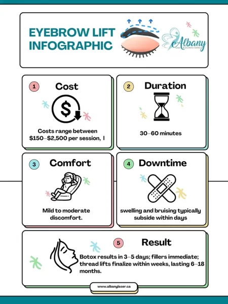Eyebrow Lift Infographic from Albany Cosmetic and Laser Centre summarizing treatment details: Cost ($150–$2,500 per session), Duration (30–60 minutes), Comfort level (mild to moderate discomfort), Downtime (swelling and bruising typically subside within days), and Results (Botox results in 3–5 days; fillers immediate; thread lifts finalize within weeks, lasting 6–18 months).